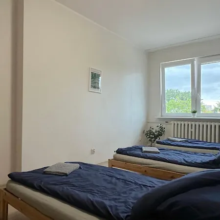 Coral Проживание в семье