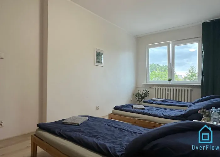 Coral Проживание в семье